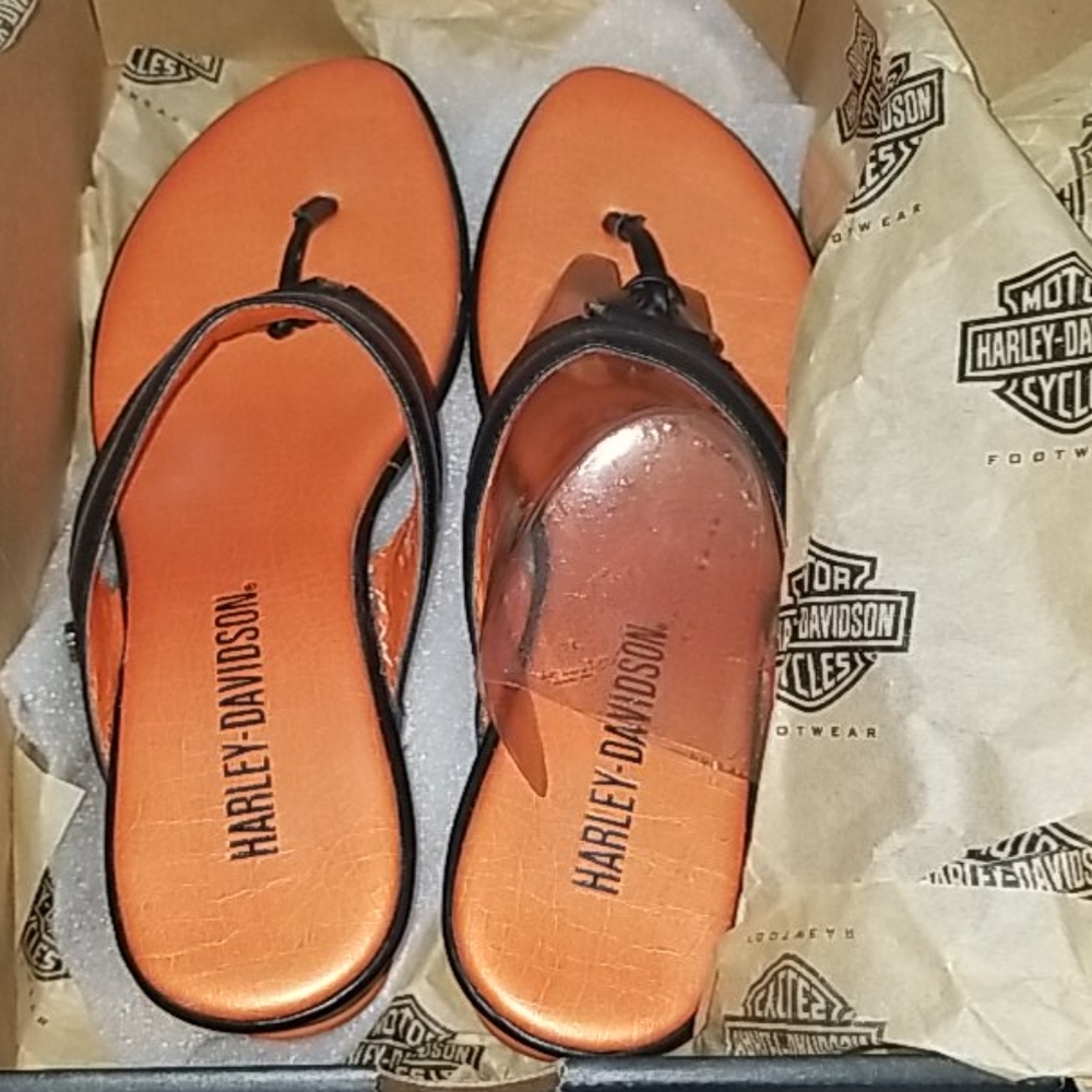 Harley Davidson thongs